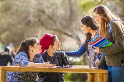 First Place in a Satisfaction Survey 