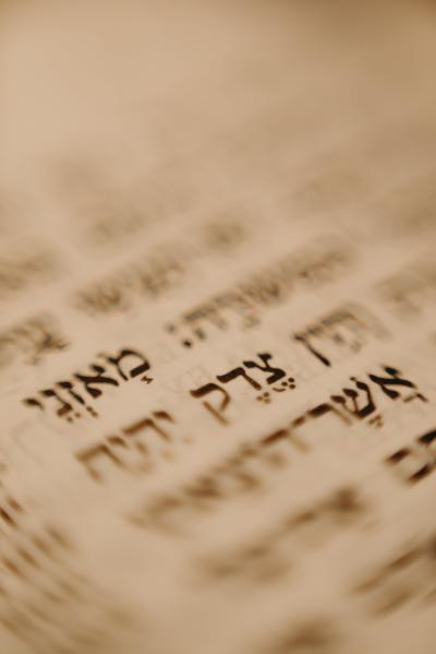 The Torah